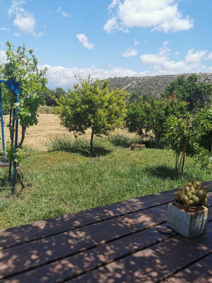 Hotel de apartamente Ampelokipi Pissouri